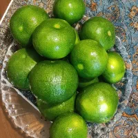 نارنگی ژاپنی