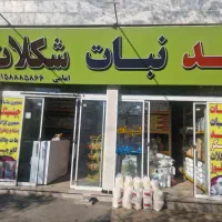 ویلایی-تجاری-مسکونی-سه-نبش-درمصلی15-رستمی-شیرودی