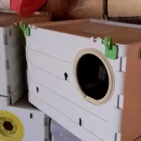 لانه عروس هلندی|لوازم جانبی حیوانات|بوئین و میاندشت, |دیوار