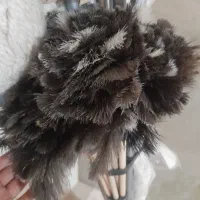 فروش جارو طی نخی آب جم کن و پر گردگیری عمده