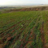 زمین-کشاورزی