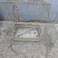 قفس پرنده