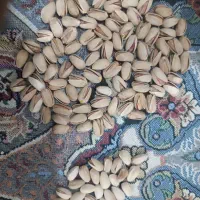 پسته رفسنجان|خوردنی و آشامیدنی|کشکوئیه, |دیوار