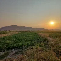 اجاره زمین کشاورزی با چاه اب