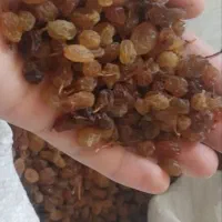 محصولات خانگی قیمت مناسب