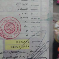 موتور سکلت فروشی