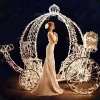 تالار و تشریفات مجلل آراد