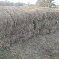 یونجه خشک|خدمات باغبانی و درختکاری|رودخانه, |دیوار