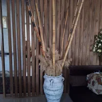 به یک همکار خانم وآقا جهت کار در مشاور املاک