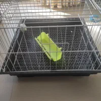 قفس نو خرگوش وهمستر