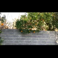 باغ|فروش زمین و ملک کلنگی|آکند, |دیوار