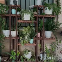 استند به همراه گل