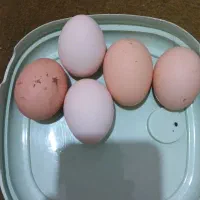 تخم مرغ لاری اصل