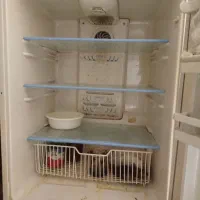 یخچال|یخچال و فریزر|قوچان, |دیوار