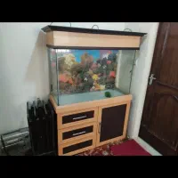 اکواریم با لوازم