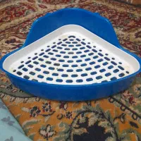 یک عدد ظرف  دستشویی خرگوش