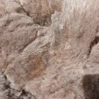 پشم گوسفند