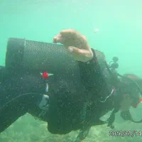 کلیه خدمات غواصی صنعتی تفریحی|غواصی و ورزشهای آبی|بندر کنگان, |دیوار