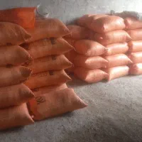 یک نفر خانوم حسابدار