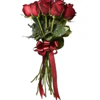 شاخ گل زیبا
