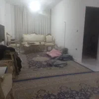 هم-خونه-خانم-بدون-اجاره