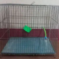 قفس پرنده