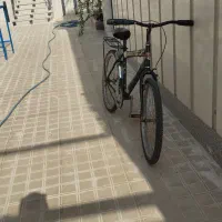 دوچرخه 20 و24 سالم