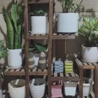 استند گلدان