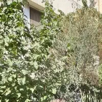 انباری حیاط دار بلوار کشاورز