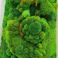 دیوار سبز خزه ای(موس وال)