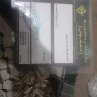 کوییک|خودرو سواری و وانت|کرج, کمال‌شهر|دیوار