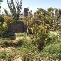 فروش باغ ۱۰۰۰ متری با سند تک برگ