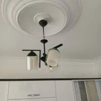 لوستر اسپایدر با لاله خارجی|لوستر و چراغ آویز|مشهد, بهمن|دیوار