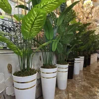 گل مصنوعی برگ انجیری ارتفاع ۱۹۰ کد۶۶۵