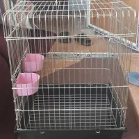 انواع قفس و وسایل پرنده|لوازم جانبی حیوانات|نجفآباد, فاز ۴ شهرک آزادگان|دیوار