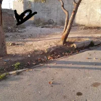 فروش-زمین-110-حدودا-دونبش-ناصرآباد-امیدیه-سلامگاه