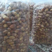 خرما زاهدی
