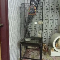 قفس|لوازم جانبی حیوانات|سبزوار, شرق کال جنوبی (شمس آبادی)|دیوار