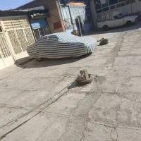 405صفر