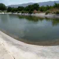 فروش گلخانه ۳ هکتار یا تهاتر با ملک در قم یا تهران