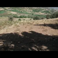 فروش زمین کشاورزی 11هزار متر روستایه تفلی