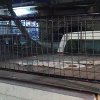 یک عدد بابند مبلی سالم