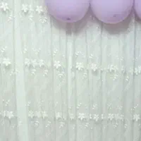 پرده سلطنتی درحد نو