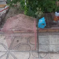 قفس پرنده