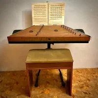 سنتور موسوی حرفه ای بوبینگا ارسال‌رایگان + گارانتی