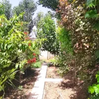 فروش ویلابا تهاتر ملک در تهران|فروش خانه و ویلا|رامجین, |دیوار