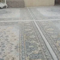 به دلیل جابه جایی|فرش|بندر ماهشهر, |دیوار