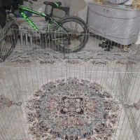 فنس پارک سگ باکس