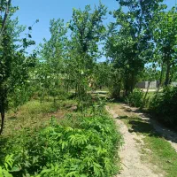 زمین مسکونی