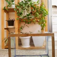 سه عدد آکواریوم